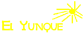 Title yunque gif