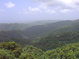 El Yunque