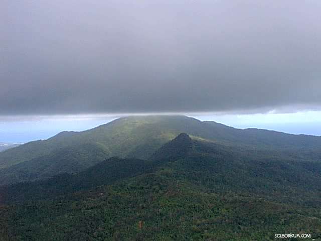 EL Yunque, Spectacular View