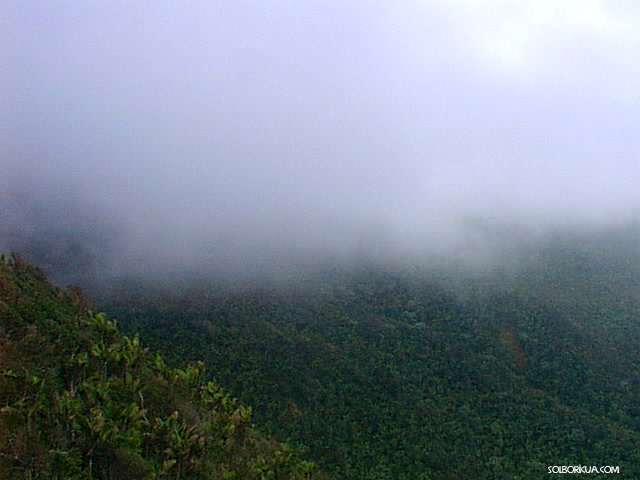 EL Yunque