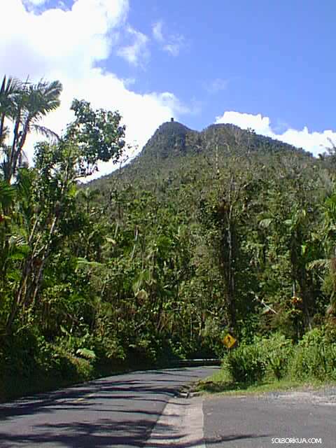 Mount Britton, El Yunque, PR