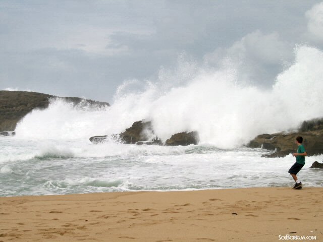 Mar Chiquita picado, Manatí