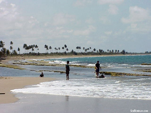  Playa Carretera PR165, Toa Baja